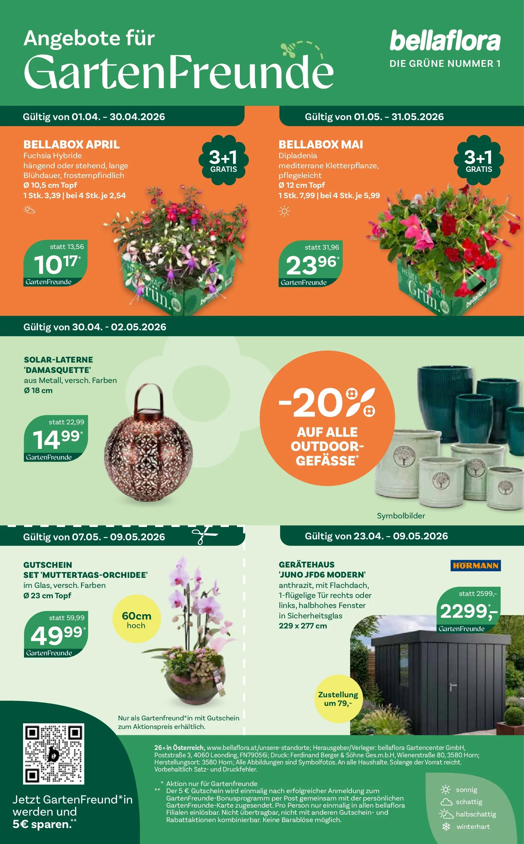 bellaflora - Bellaflora: Flugblatt von 22.04.2026 - Aktuelle Angebote | Seite: 12