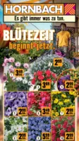 Hornbach: Bl&uuml;tezeit beginnt jetzt.