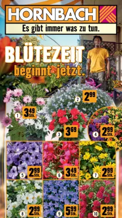 Hornbach Blütezeit beginnt jetzt ab 15.04.2026 gültig