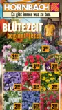 Hornbach: Bl&uuml;tezeit beginnt jetzt.
