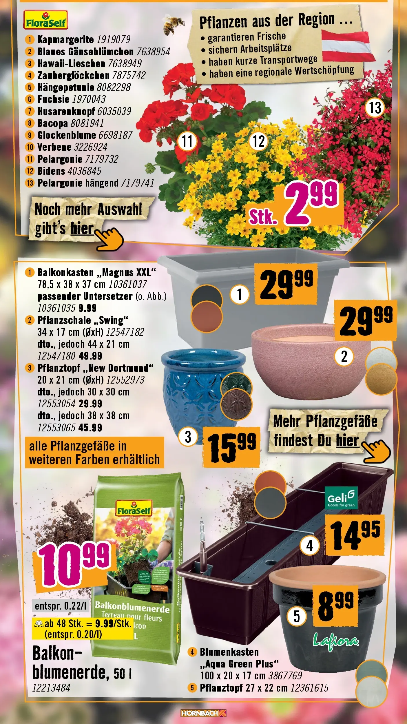 Hornbach Blütezeit beginnt jetzt von 15.04.2026 - Aktuelle Angebote | Seite: 2