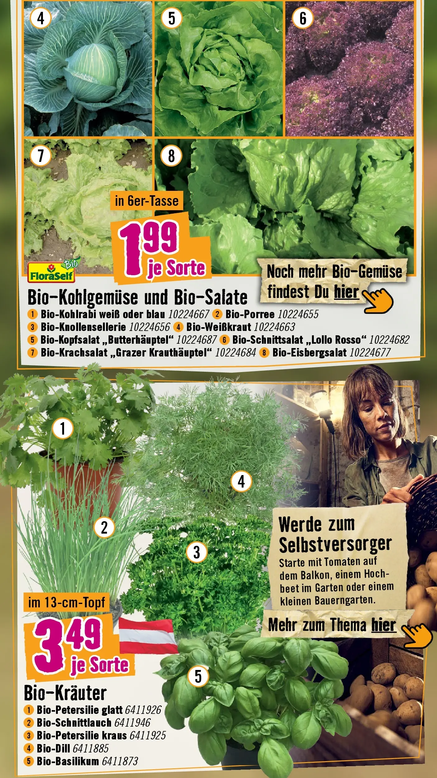 Hornbach Blütezeit beginnt jetzt von 15.04.2026 - Aktuelle Angebote | Seite: 5 | Produkte: Tomaten