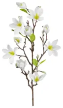 m&ouml;max Dornbirn - Ihr Trendm&ouml;belhaus in Dornbirn Magnolie Wei&szlig; ca. 83cm