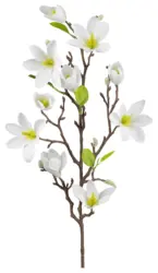 Magnolie Wei&szlig; ca. 83cm