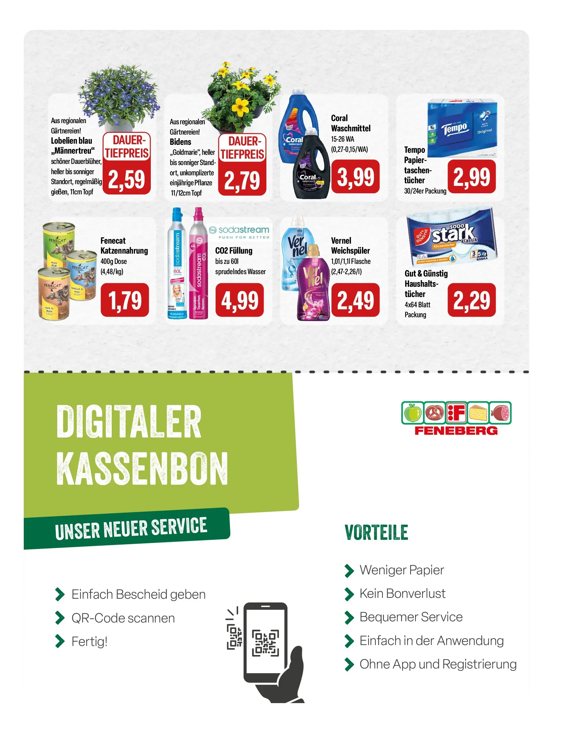 Feneberg Aktuelle Angebote (ab 22.04.2026) zum Blättern | Seite: 15 | Produkte: Wasser, Tempo, Vernel, Sodastream