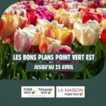 Point Vert OFFRES DU MOMENT - au 25.04.2026