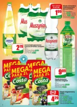 Dino 16 26 www small