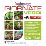 Pronto Hobby Giornate verdi - al 17.04.2026