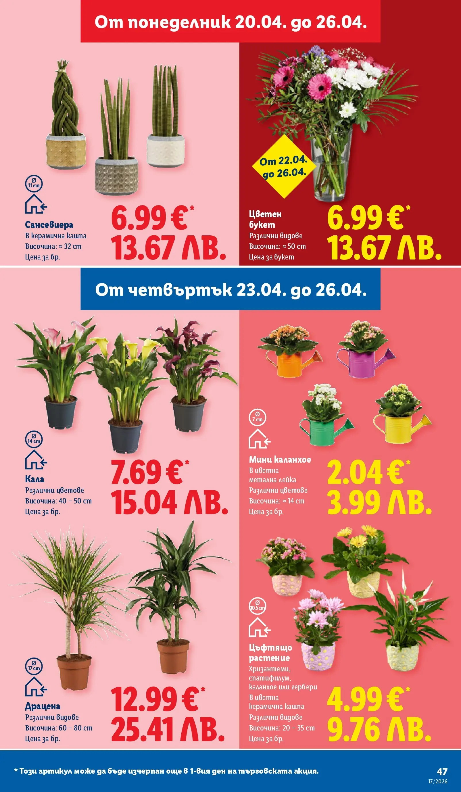 Лидл - XXL оферти в ЛИДЛ с валидност до 26.04.2026 от 19.04.2026 | Страница: 47 | Продукти: Кашпа, Лейка