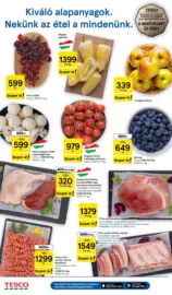 Tesco &uacute;js&aacute;g &eacute;rv&eacute;nyess&eacute;ge 2026.04.22-ig