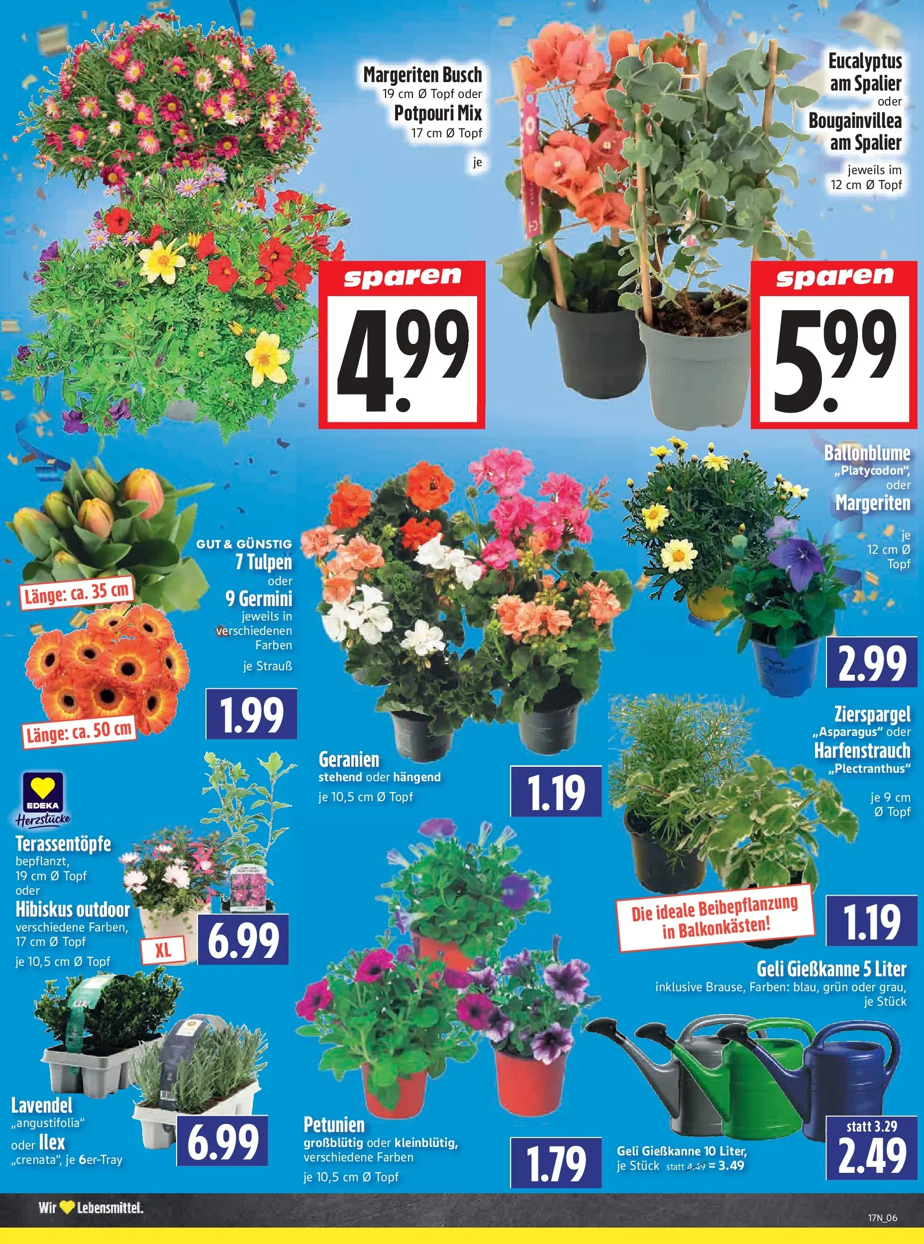 Angebote - Edeka Hahner: Wochenangebote (ab 19.04.2026) zum Blättern | Seite: 8 | Produkte: Geranien, Lavendel
