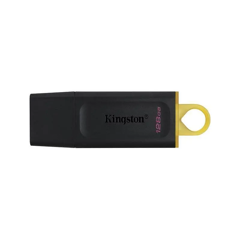 Памет USB Kingston DTX 128GB