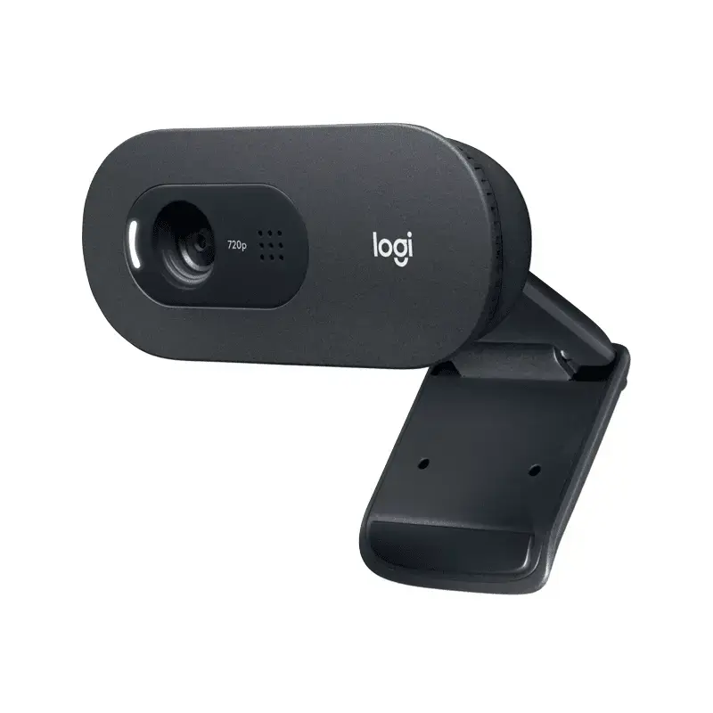 WEB камера Logitech C505 960-001364