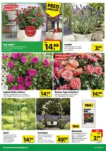 5 T&auml;ler Bauhandels GmbH hagebaumarkt: Flugblatt - bis 09.05.2026