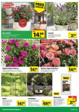 hagebaumarkt: Flugblatt