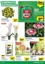 5 T&auml;ler Bauhandels GmbH hagebaumarkt: Flugblatt - bis 09.05.2026