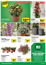 5 T&auml;ler Bauhandels GmbH hagebaumarkt: Flugblatt - bis 09.05.2026