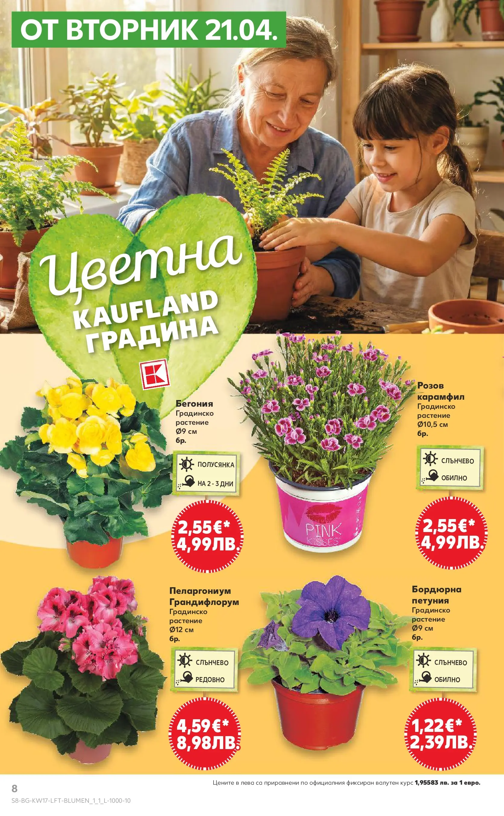 Нова Кауфланд - МЕГА изгодни цени в Kaufland с валидност до 26.04.2026 от 19.04.2026 | Страница: 8 | Продукти: Карамфил