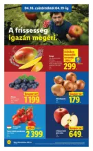 Akci&oacute;s &uacute;js&aacute;g 16. h&eacute;t