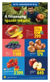 Akci&oacute;s &uacute;js&aacute;g 16. h&eacute;t