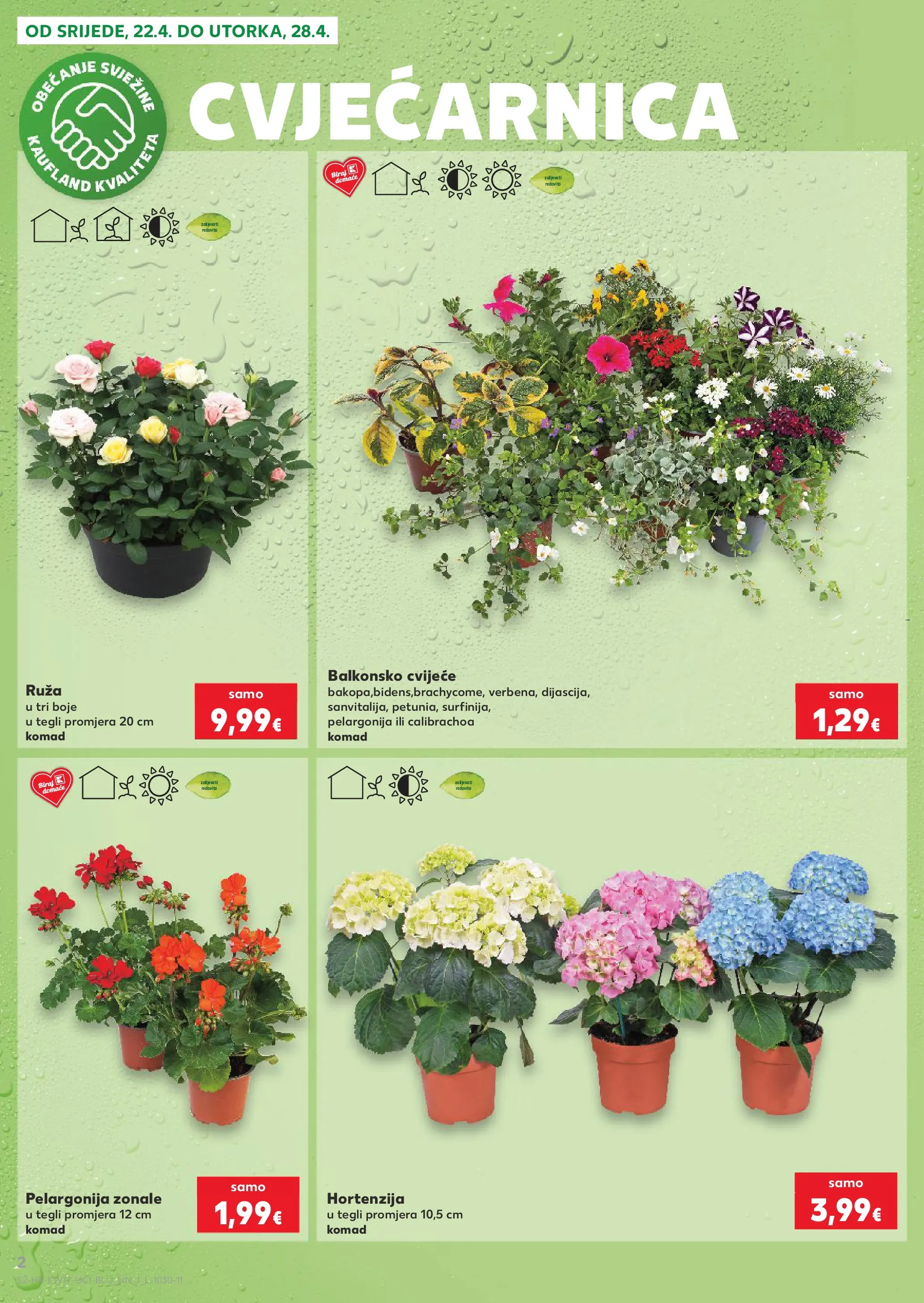 Kaufland - Kaufland katalog do 28.04.2026 novi od 21.04.2026 na listanje > letak digitalni | Stranica: 2 | Proizvodi: Cvijeće
