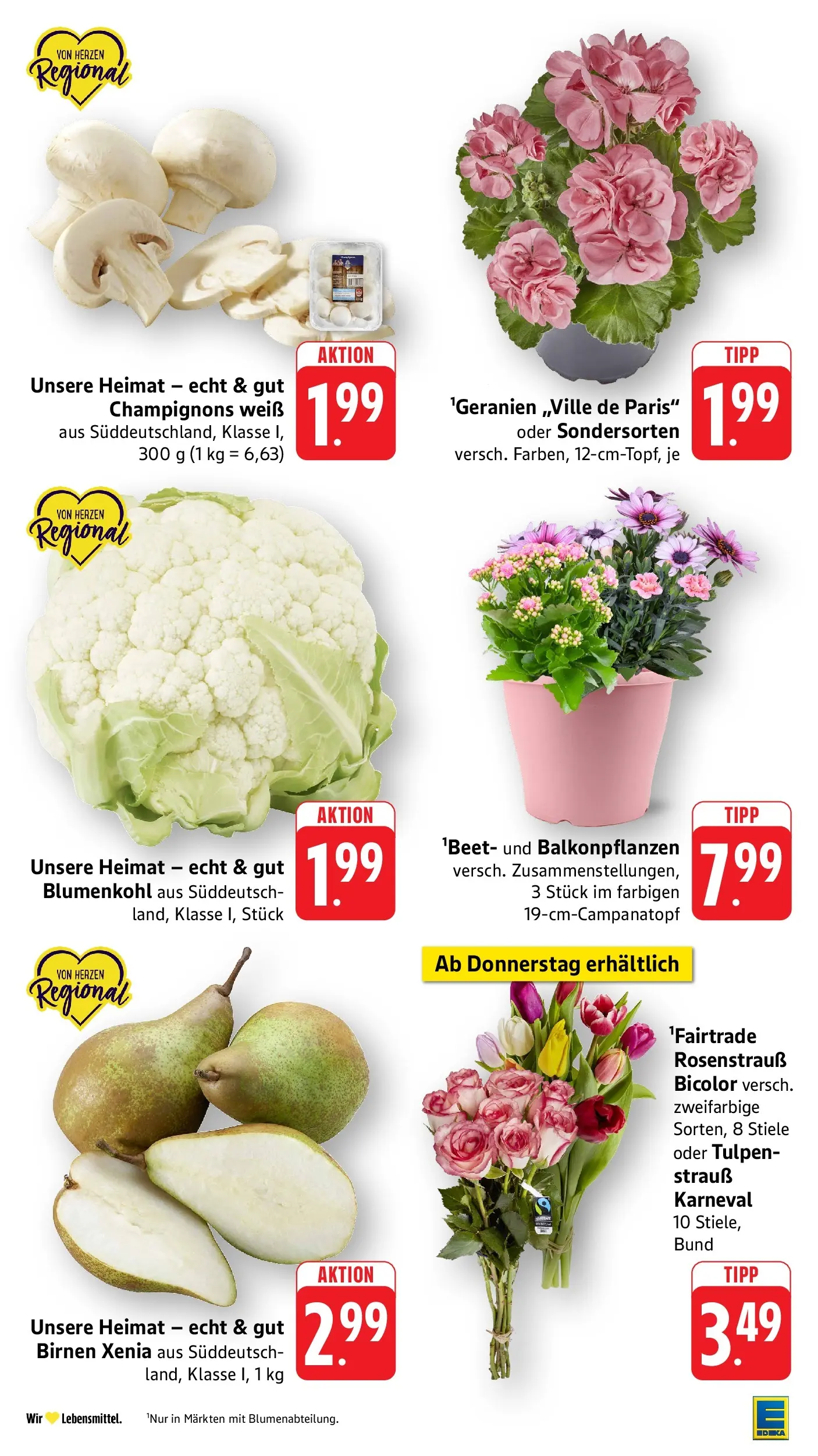E center Prospekt Offenburg	 (ab 19.04.2026) zum Blättern | Seite: 7 | Produkte: Champignons, Blumenkohl