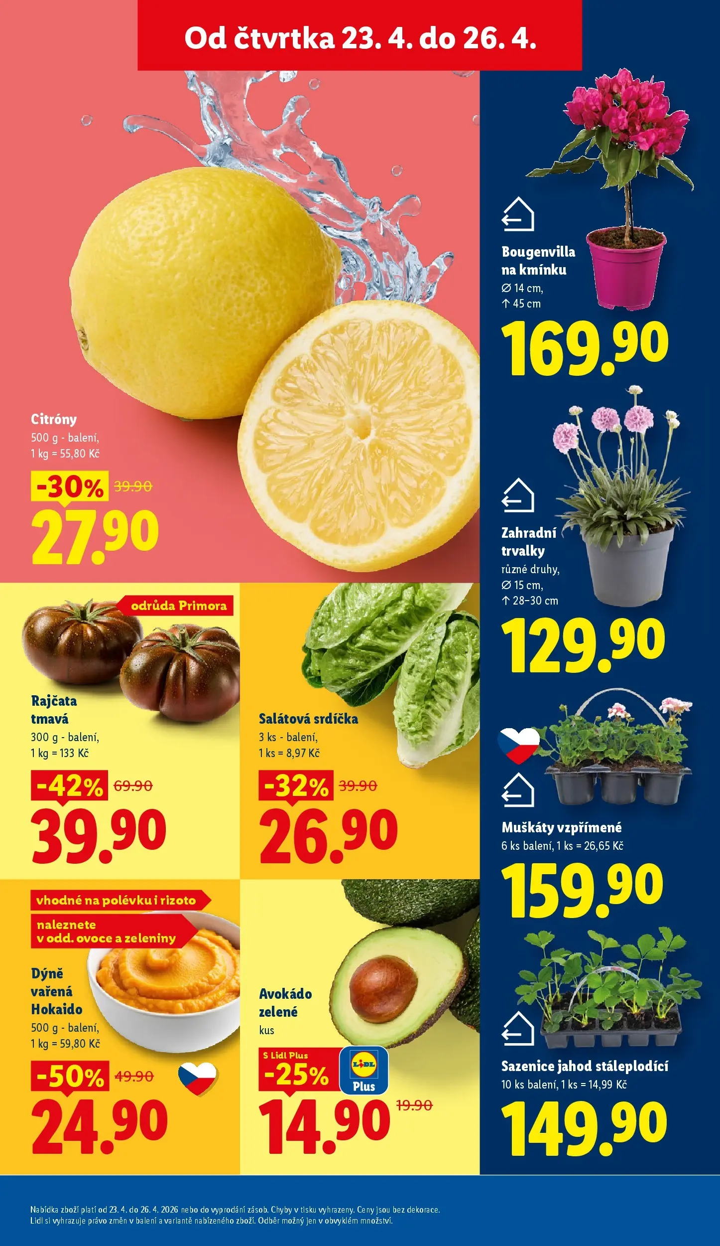 Lidl leták od 22.04.2026 - Nový akční leták | Strana: 11 | Produkty: Ovoce, Salátová srdíčka, Rajčata, Citróny