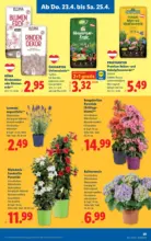 Lidl Lidl - ab 23.04.2026