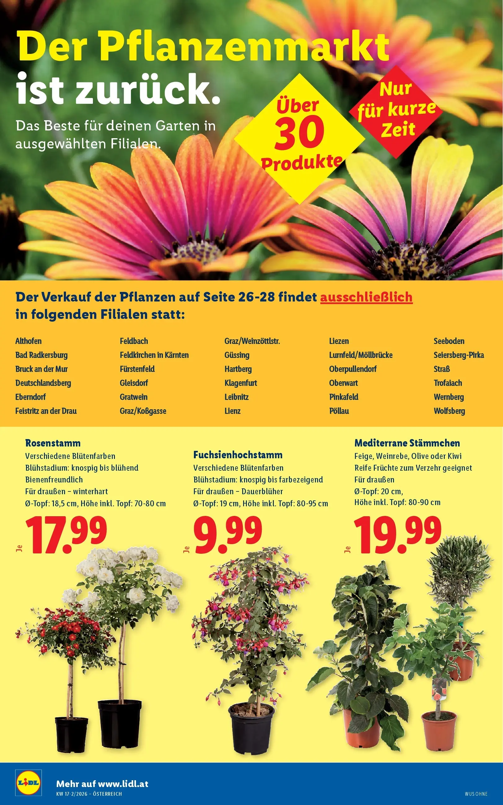 Lidl - Lidl ab 22.04.2026 - Angebote ab donnerstag | Seite: 28 | Produkte: Kiwi, Bad