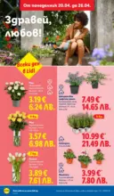 ЛИДЛ XXL оферти в ЛИДЛ с валидност до 26.04.2026 - до 26-04-26