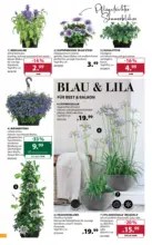 Dehner Hohenems Dehner: Garten & Zoo - bis 27.04.2026