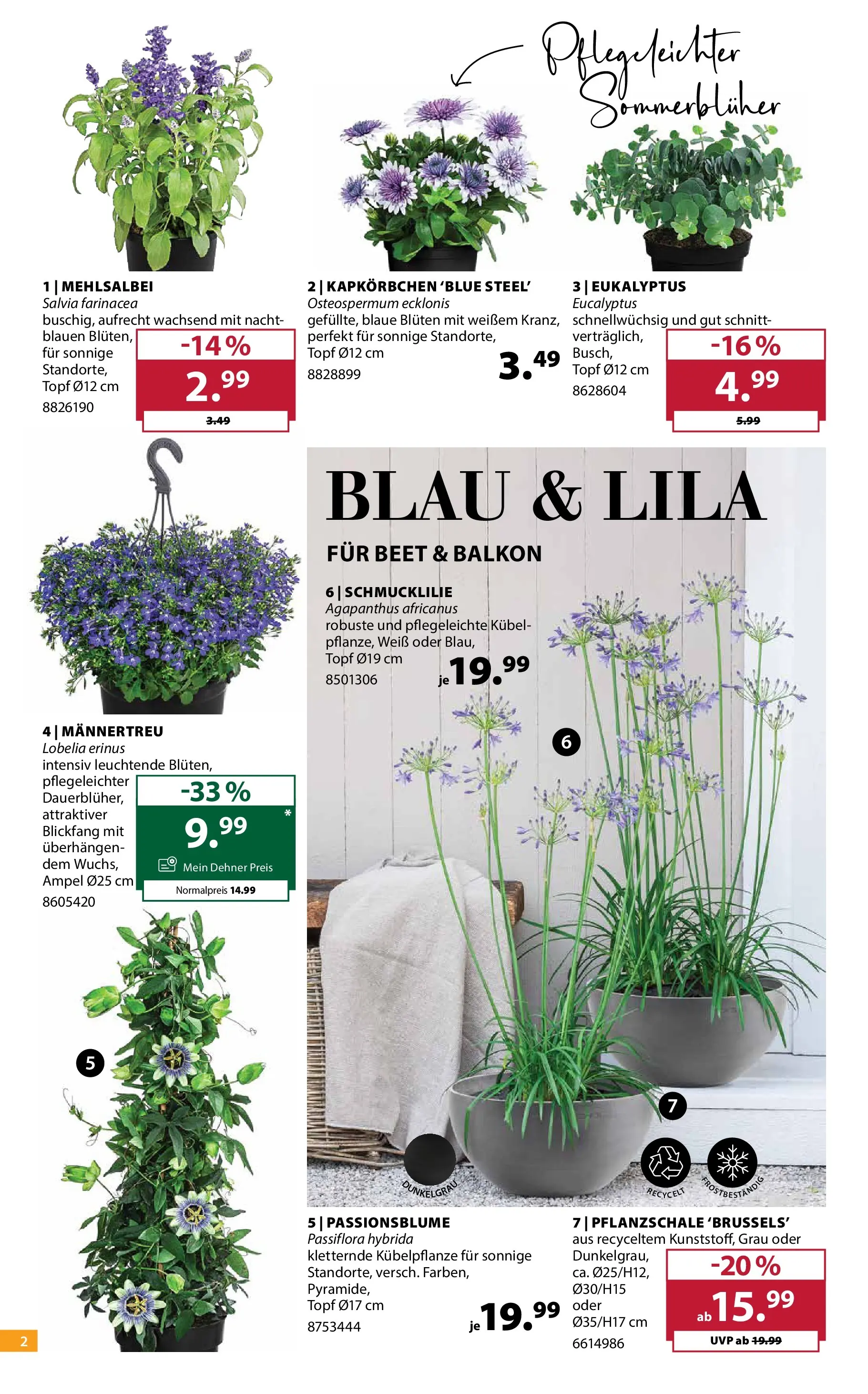 Dehner - Dehner: Garten & Zoo von 21.04.2026 - Aktuelle Angebote | Seite: 2