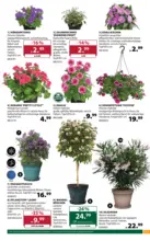 Dehner Hohenems Dehner: Garten & Zoo - bis 27.04.2026