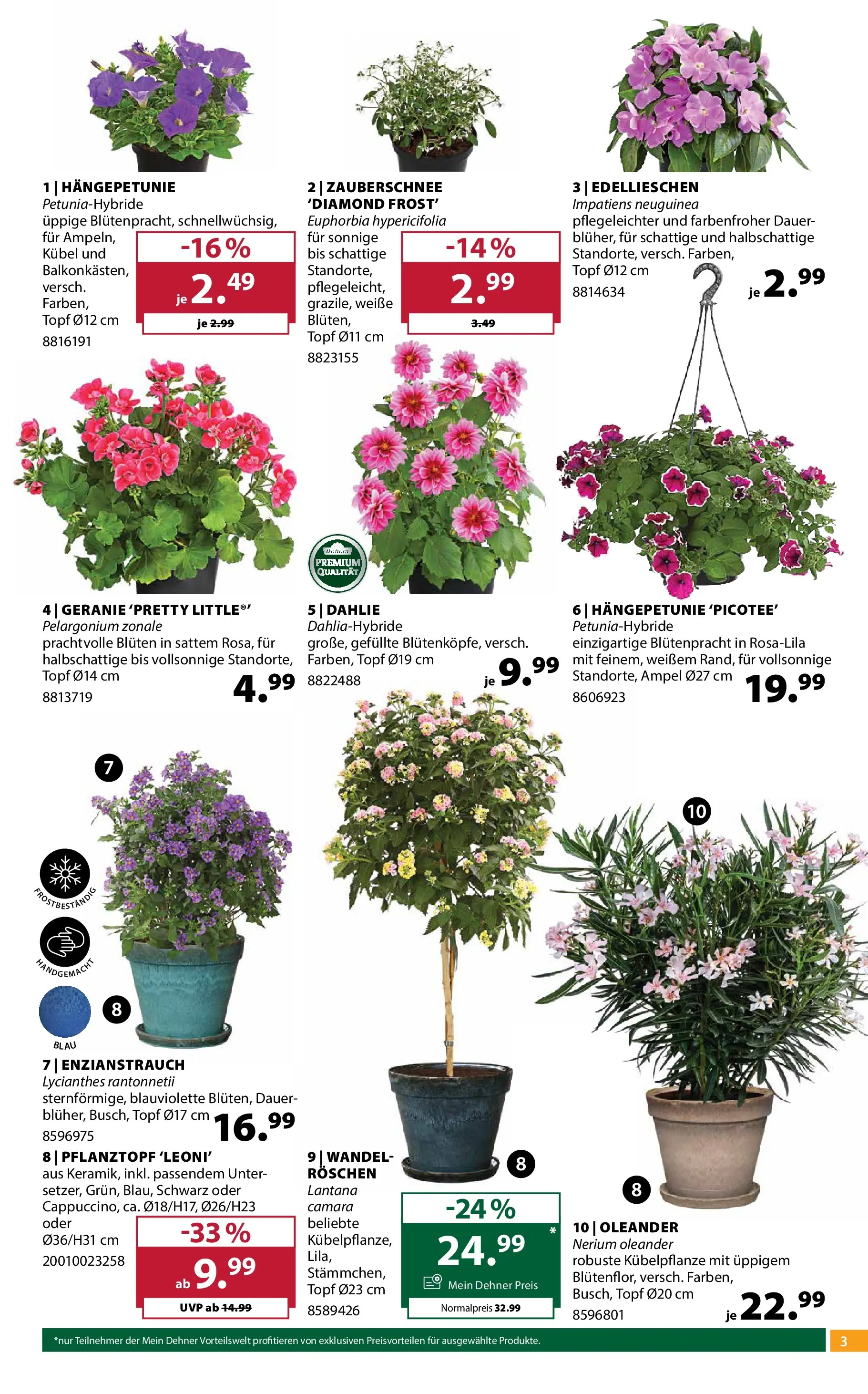 Dehner - Dehner: Garten & Zoo von 21.04.2026 - Aktuelle Angebote | Seite: 3