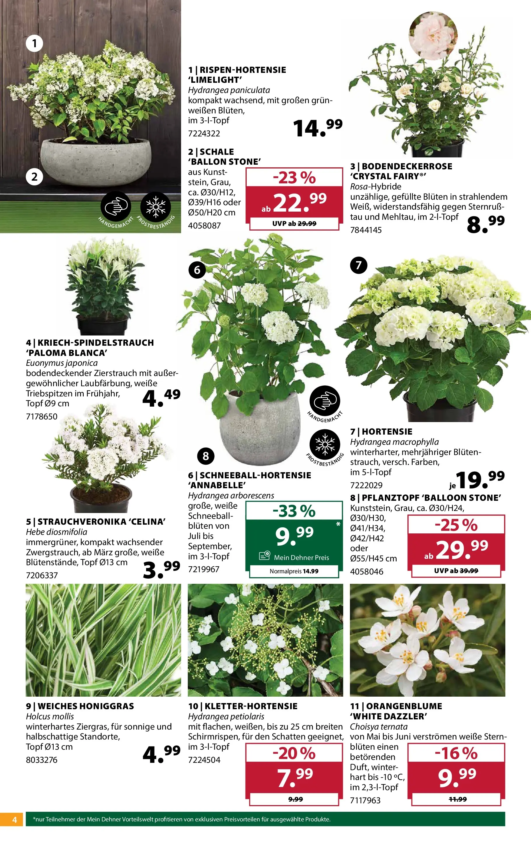Dehner - Dehner: Garten & Zoo von 21.04.2026 - Aktuelle Angebote | Seite: 4