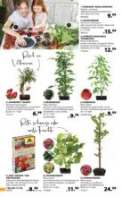 Dehner Hohenems Dehner: Garten & Zoo - bis 27.04.2026