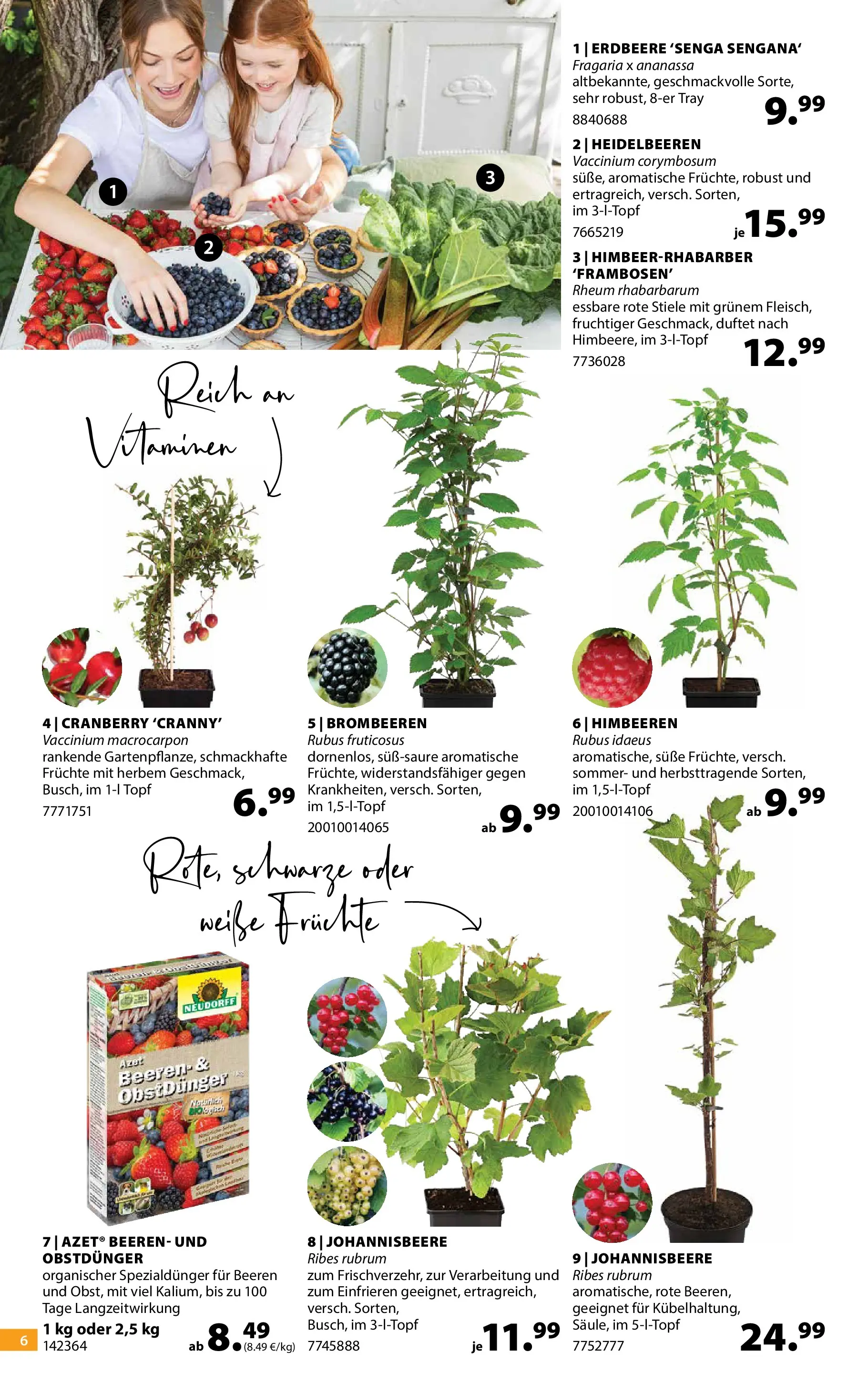 Dehner - Dehner: Garten & Zoo (ab 21.04.2026) zum Blättern | Seite: 6 | Produkte: Himbeeren, Heidelbeeren