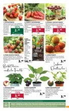 Dehner Hohenems Dehner: Garten & Zoo - bis 27.04.2026