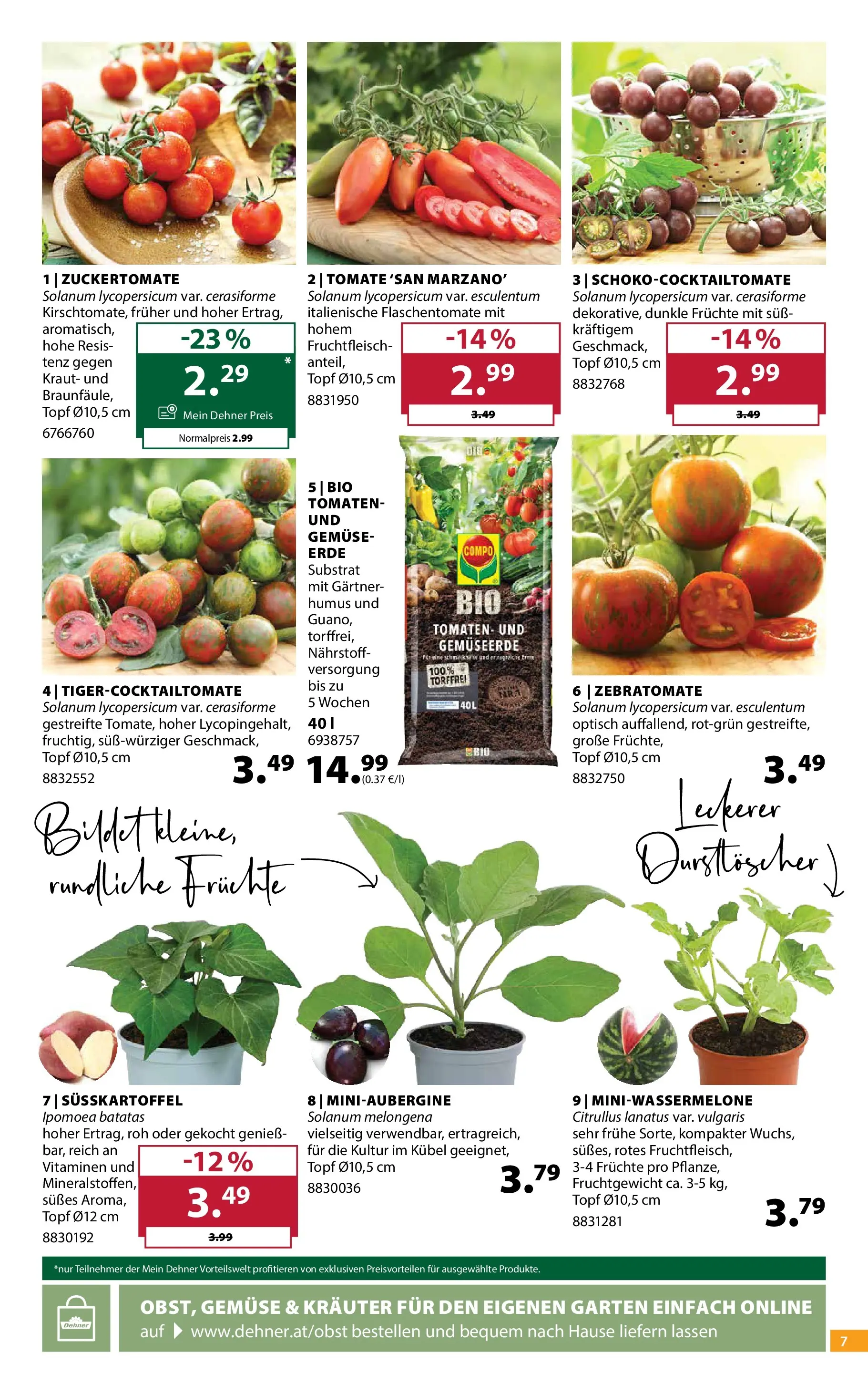 Dehner - Dehner: Garten & Zoo von 21.04.2026 - Aktuelle Angebote | Seite: 7 | Produkte: Gemüse, Kraut, Tomaten