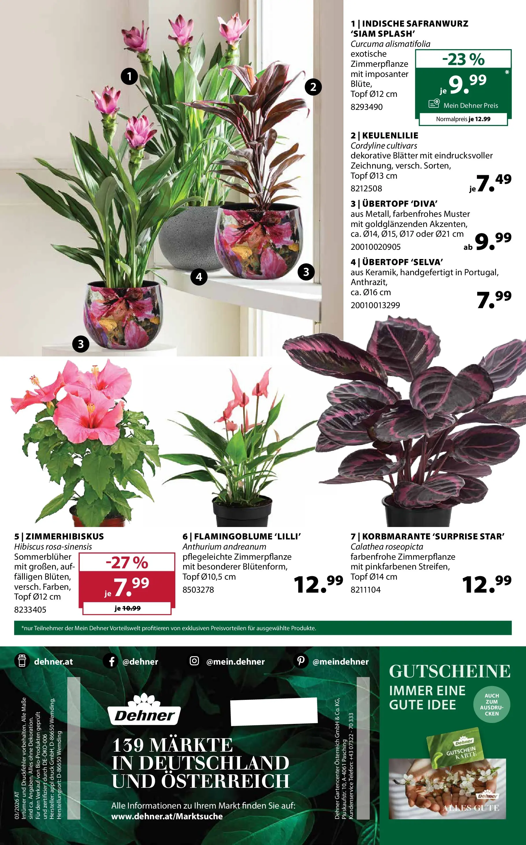 Dehner - Dehner: Garten & Zoo von 21.04.2026 - Aktuelle Angebote | Seite: 16