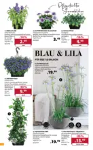 Dehner: Garten & Zoo