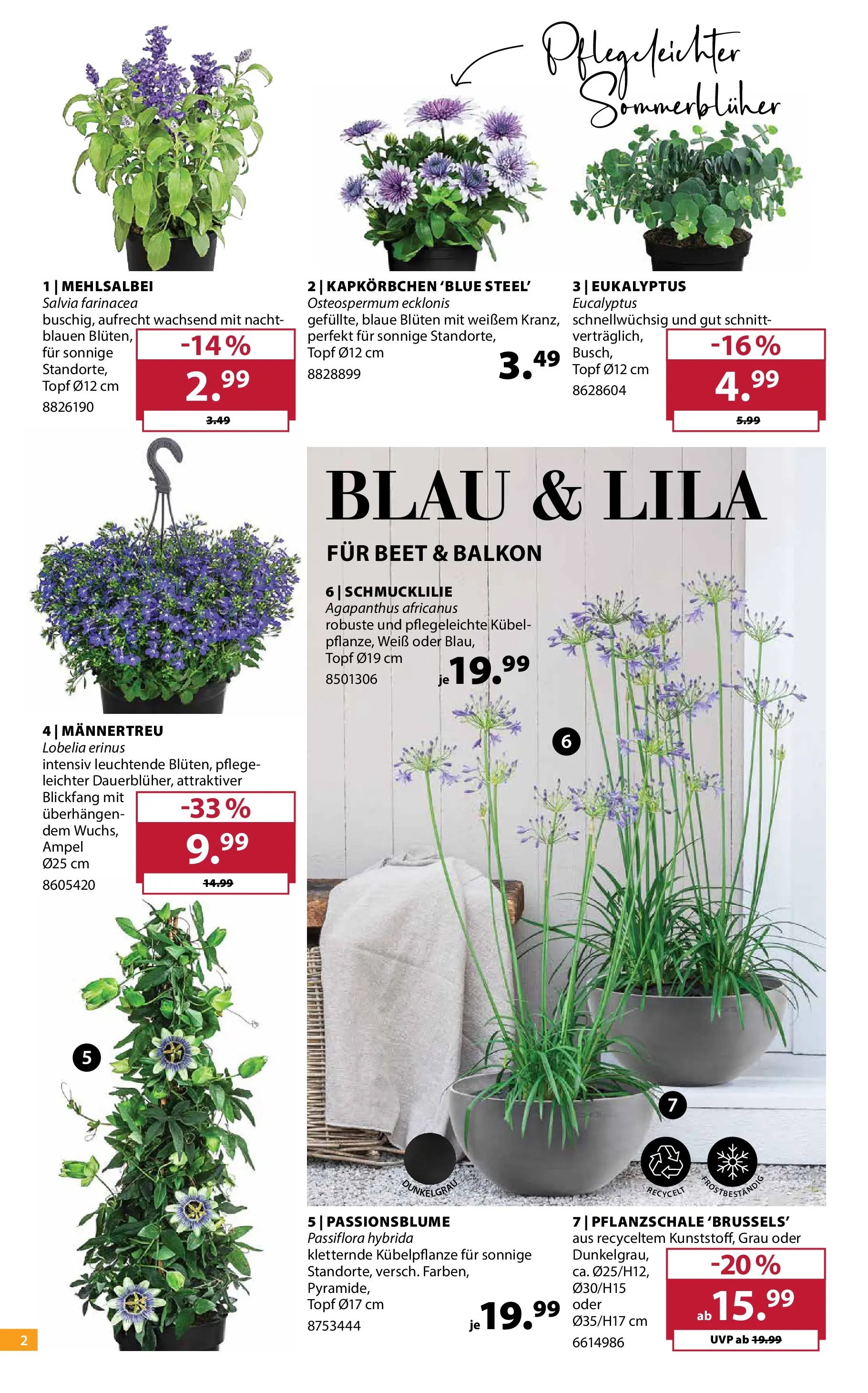 Dehner - Dehner: Garten & Zoo (ab 21.04.2026) zum Blättern | Seite: 2