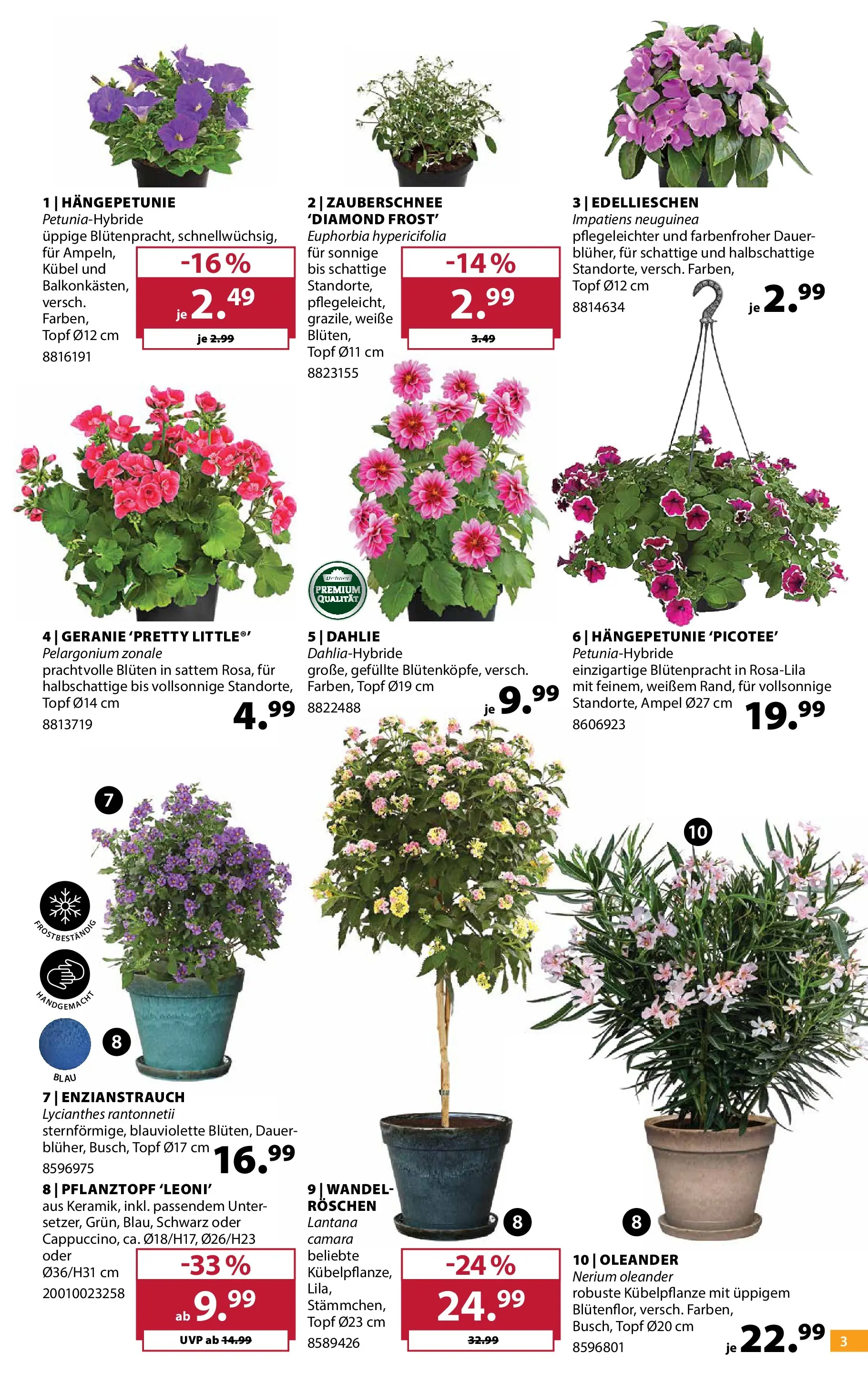 Dehner - Dehner: Garten & Zoo (ab 21.04.2026) zum Blättern | Seite: 3