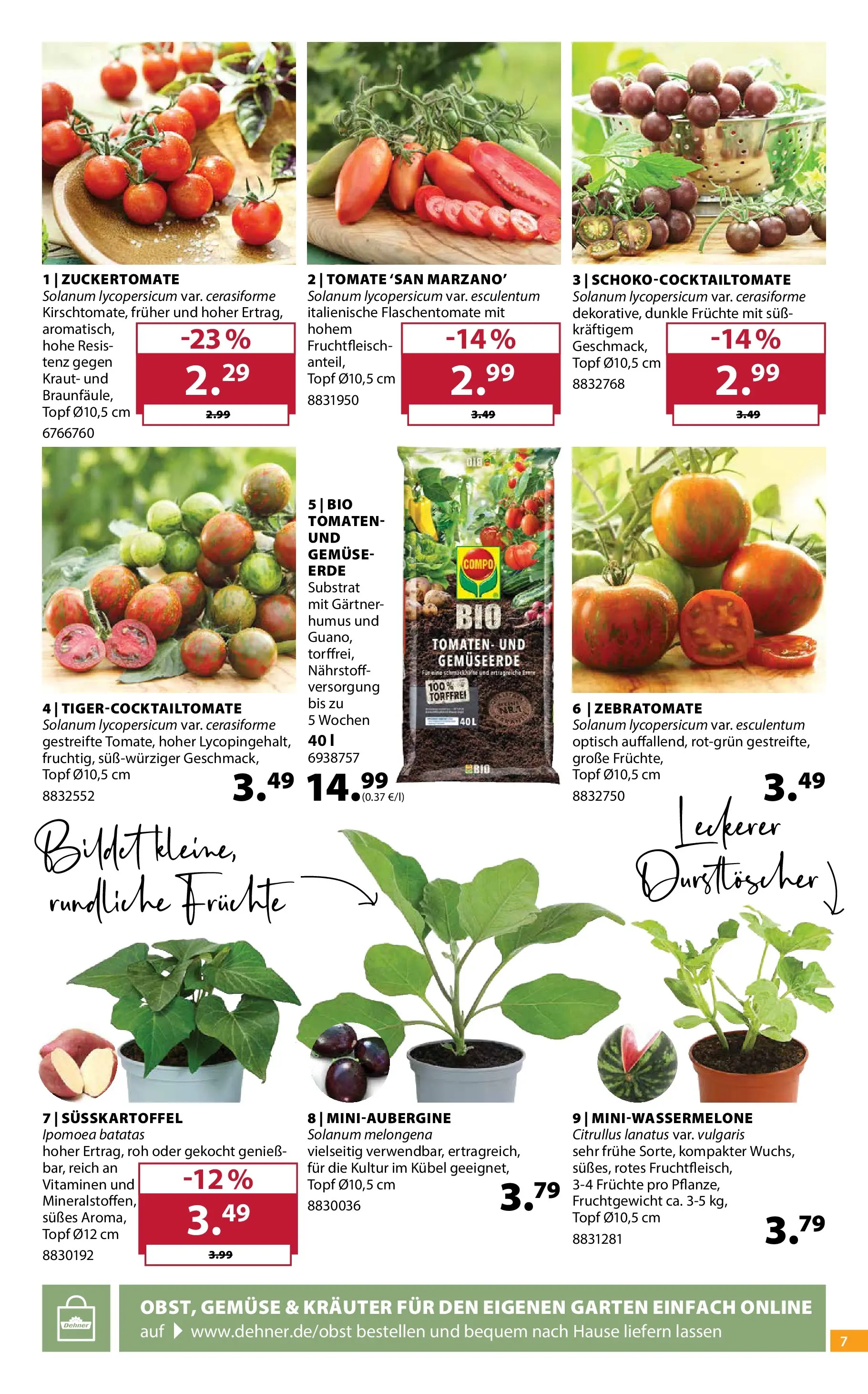 Dehner - Dehner: Garten & Zoo (ab 21.04.2026) zum Blättern | Seite: 7 | Produkte: Durstloscher, Tomaten, Gemüse, Kraut
