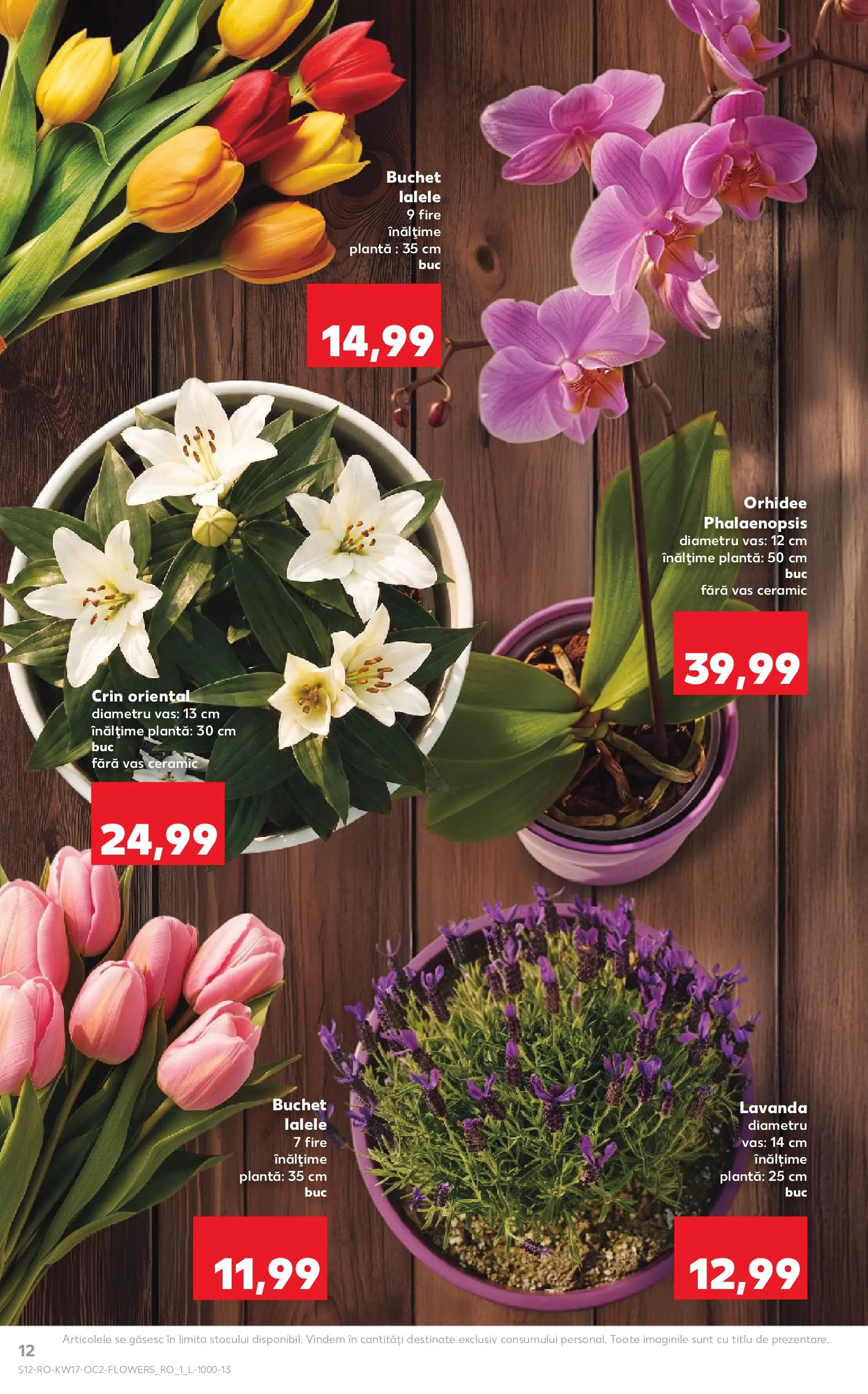 Kaufland Constanța 22.04.2026 - Revista si Oferta | Pagină: 12 | Produse: Orhidee