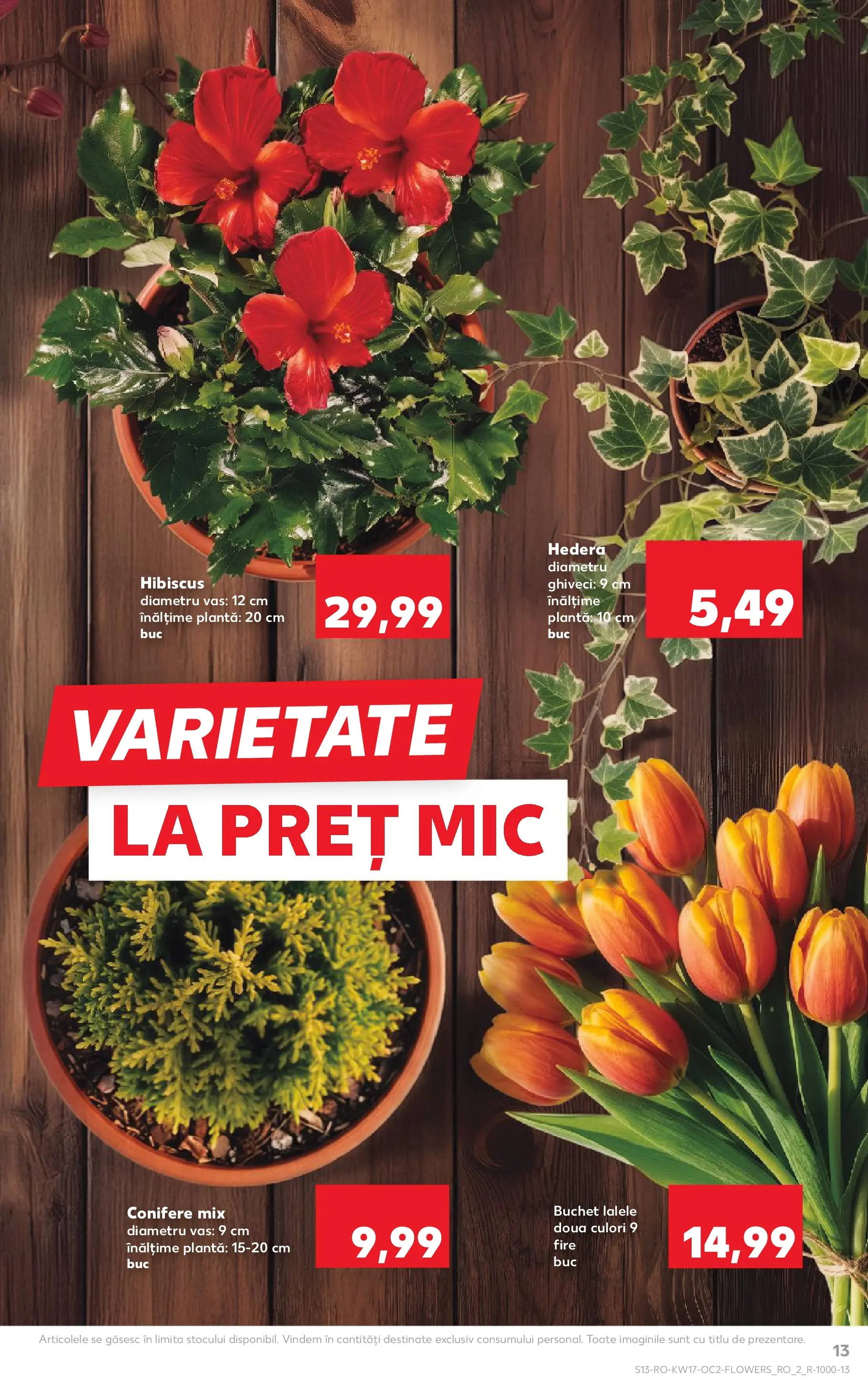 Kaufland Constanța 22.04.2026 - Revista si Oferta | Pagină: 13 | Produse: Ghiveci
