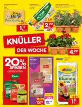 Netto: Wochenangebote