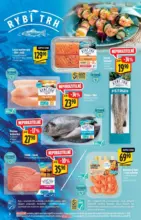 Albert - 17SMakcnikataloggril