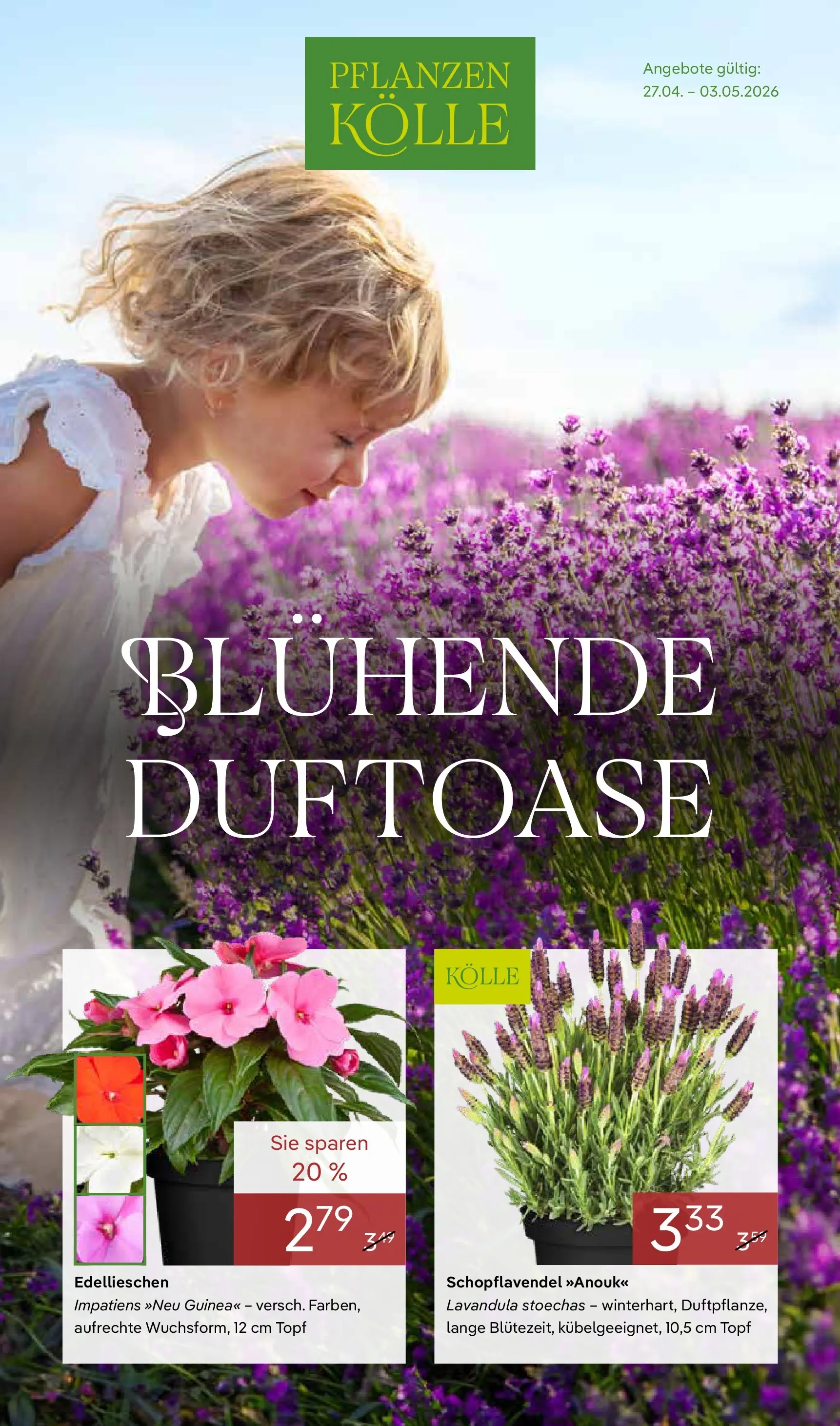 Pflanzen-Kölle Blühende Duftoase (ab 27.04.2026) zum Blättern | Seite: 1