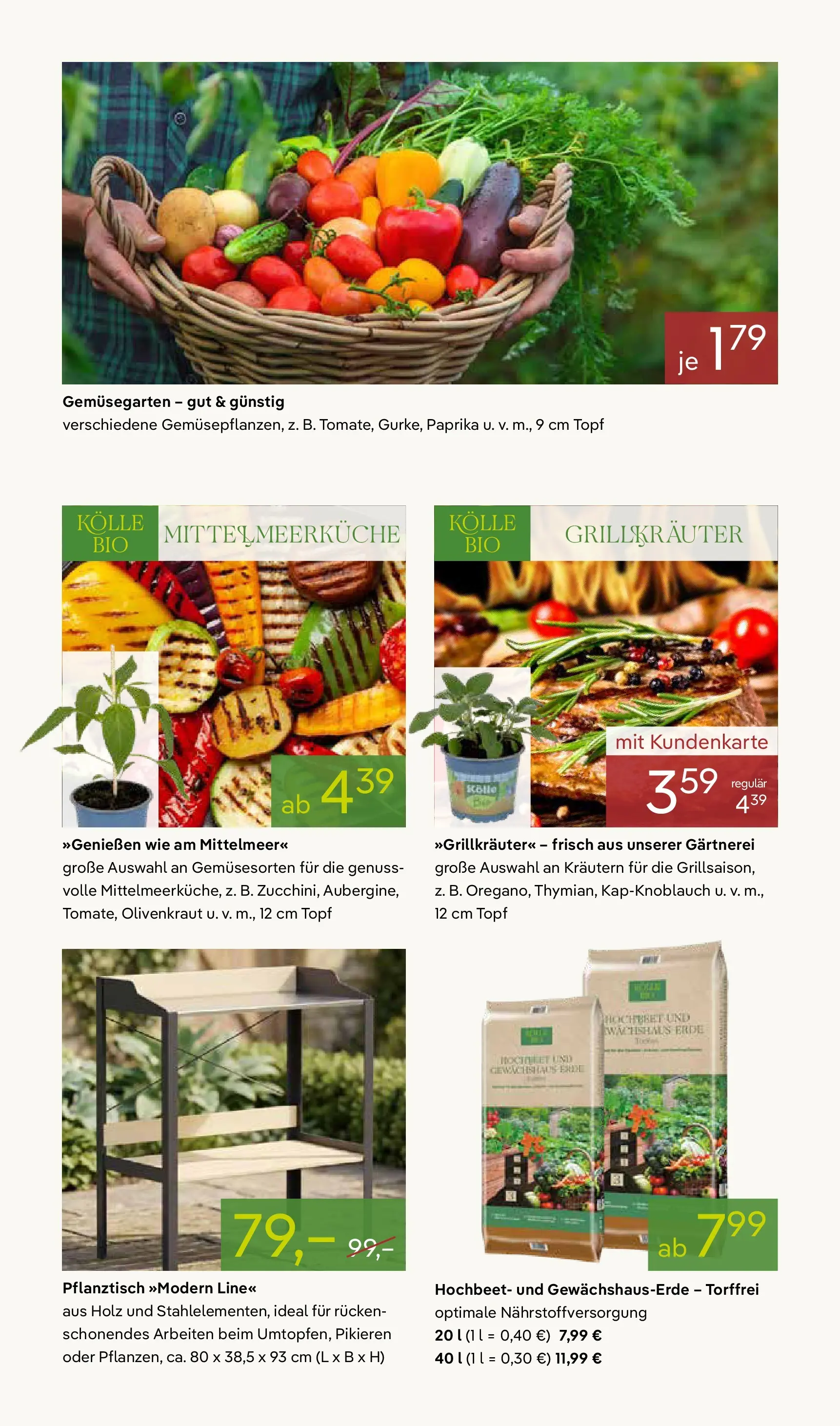 Pflanzen-Kölle Blühende Duftoase (ab 27.04.2026) zum Blättern | Seite: 7 | Produkte: Hochbeet, Paprika